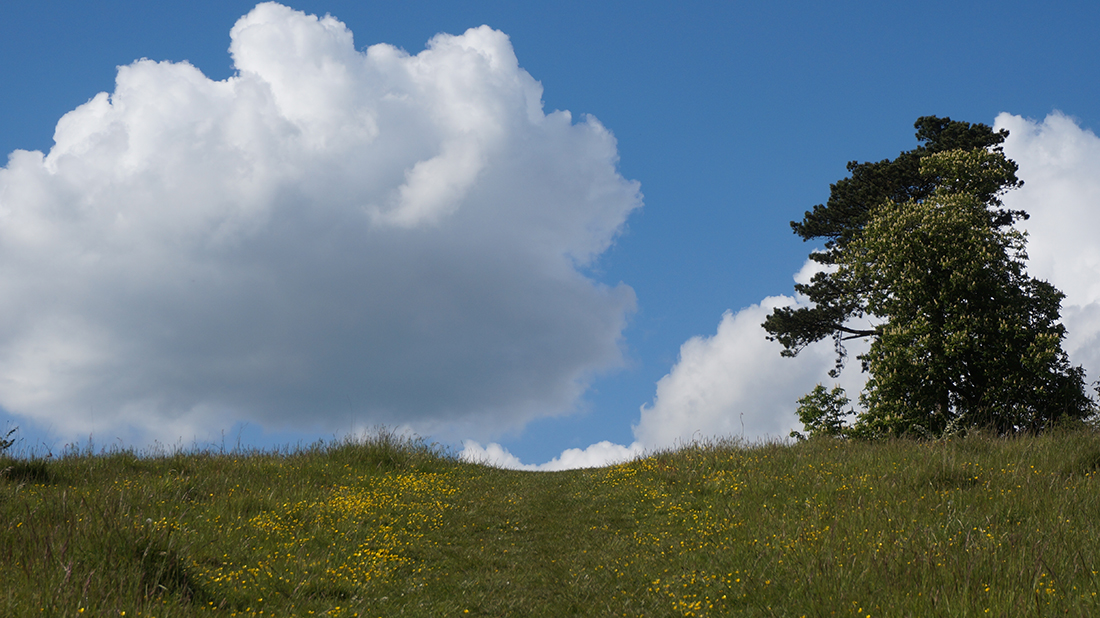 looking up a hill along a path with nothing but blue skies and clouds at the top